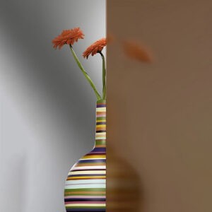 Фото стекло модель Сатината бронзовое